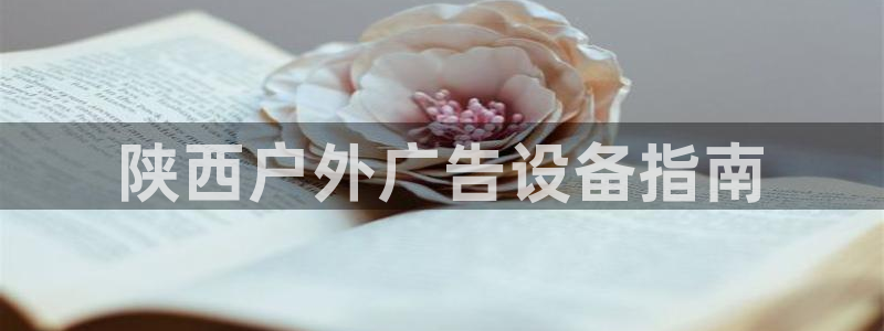 杏宇平台开户