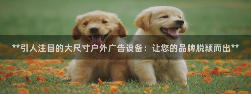 杏宇官方平台官网