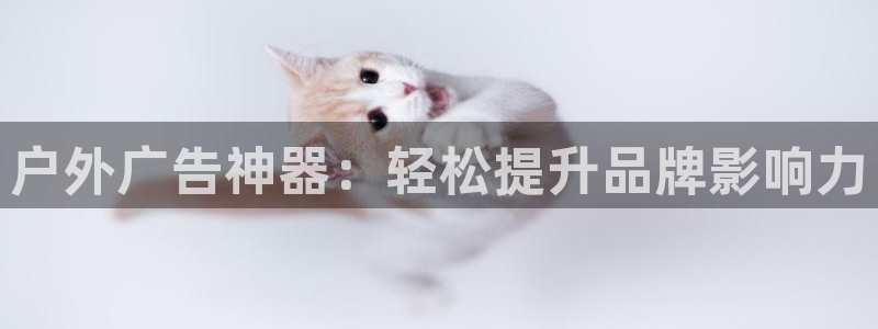 杏宇平台总代理电话
