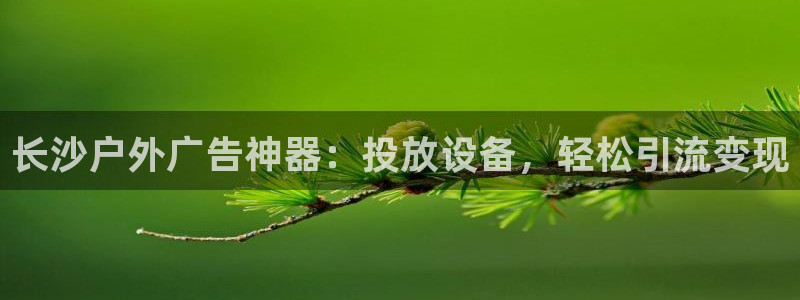 杏宇平台代理