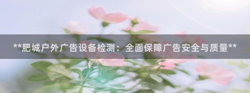 杏宇平台好吗：**肥城户外广告设备检测：全面保障广告安全与质量**