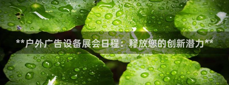 杏宇平台代理怎么赚钱快：**户外广告设备展会日程：释放您的创新潜力**