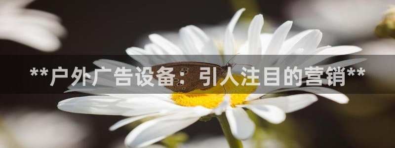 杏宇平台代理多少钱一次：**户外广告设备：引人注目的营销**