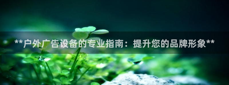 杏宇平台登陆：**户外广告设备的专业指南：提升您的品牌形象**