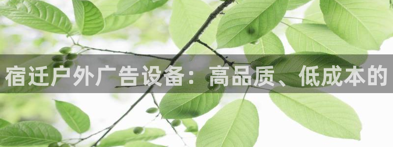 杏宇官方平台官网下载：宿迁户外广告设备：高品质、低成本的