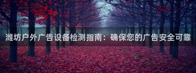 杏宇官方平台官网下载：潍坊户外广告设备检测指南：确保您的广告安全可靠
