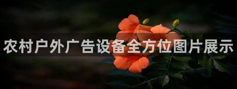 杏宇平台招商电话号码