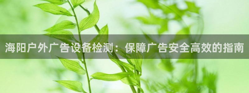 杏宇平台怎么样赚钱：海阳户外广告设备检测：保障广告安全高效的指南