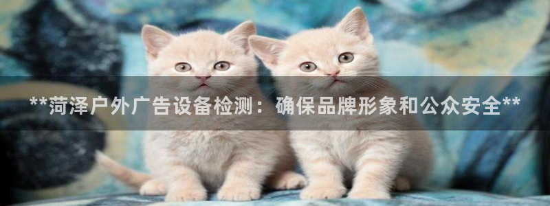 杏宇平台代理多少钱一次：**菏泽户外广告设备检测：确保品牌形象和公众安全**