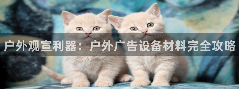 杏宇平台登录步骤图