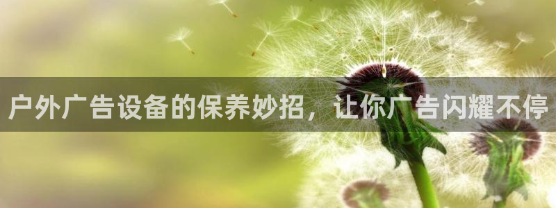 杏宇平台代理怎么样啊
