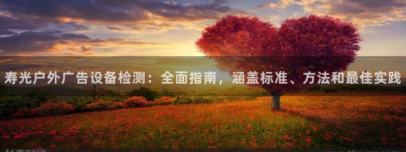 杏宇代理注册：寿光户外广告设备检测：全面指南，涵盖标准、方法和最佳实践
