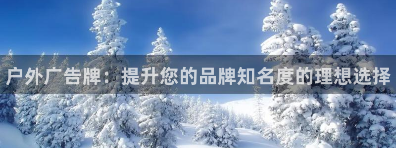 杏宇平台测速链接