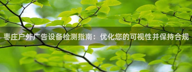 杏宇官方平台官网入口：枣庄户外广告设备检测指南：优化您的可视性并保持合规