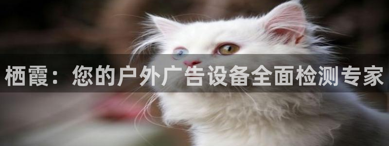 杏宇平台登陆：栖霞：您的户外广告设备全面检测专家