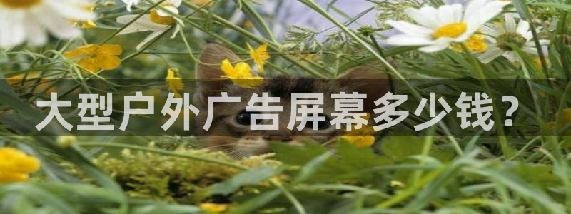 杏宇平台代理多少钱