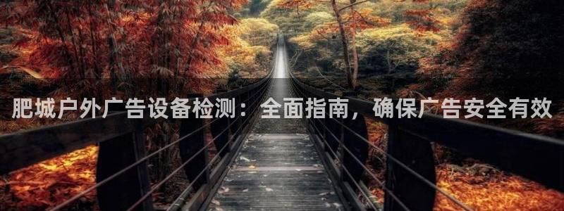 杏宇官方平台官网入口