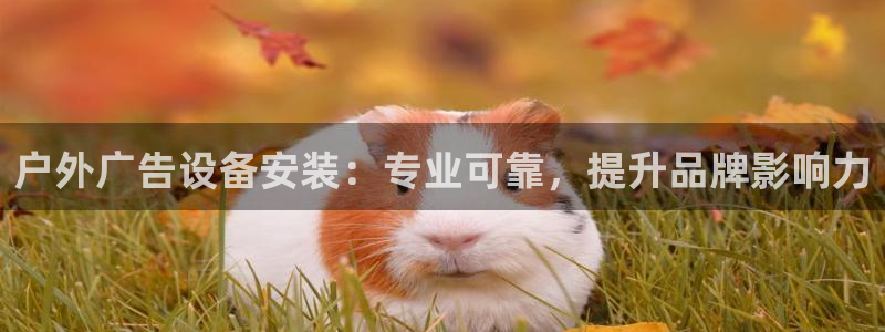 杏宇平台登录步骤是什么