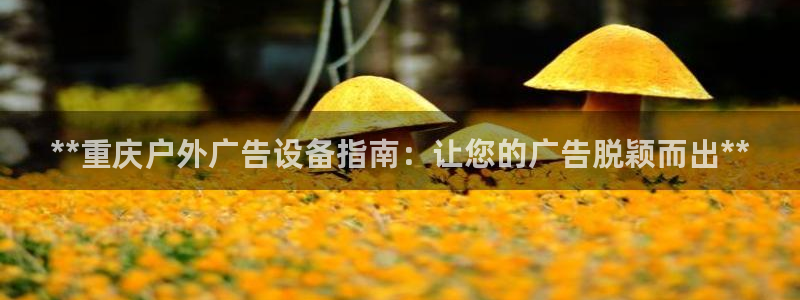 杏宇官方平台官网下载