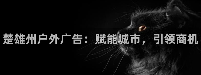 杏宇平台登录方法