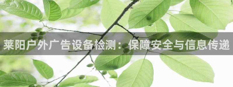 杏宇平台好吗