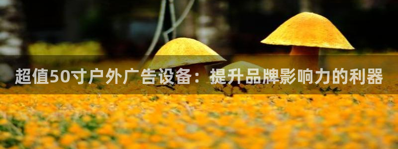 杏宇平台登录步骤图