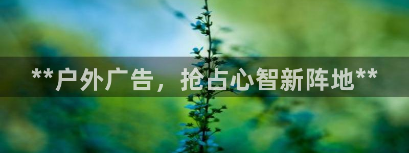 杏宇平台招商怎么样