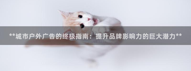 杏宇平台招商：**城市户外广告的终极指南：提升品牌影响力的巨大潜力**