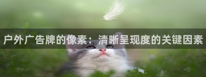 杏宇平台代理怎么样