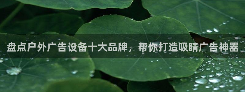 杏宇平台注册地址