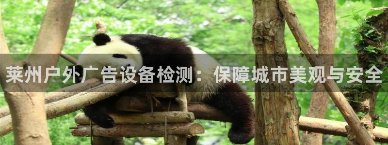 杏宇平台代理怎么样啊