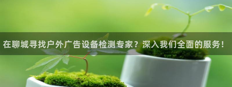 杏宇平台登录步骤图：在聊城寻找户外广告设备检测专家？深入我们全面的服务！