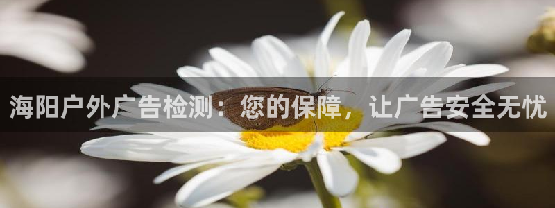 杏宇代理注册