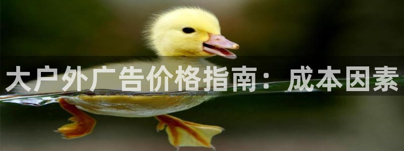 杏宇平台招商：大户外广告价格指南：成本因素