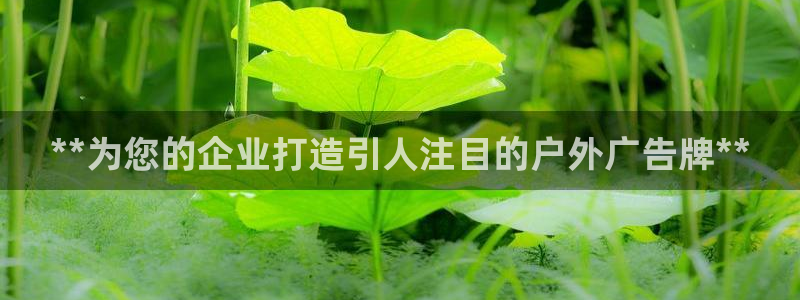 杏宇平台代理多少钱一个月：**为您的企业打造引人注目的户外广告牌**