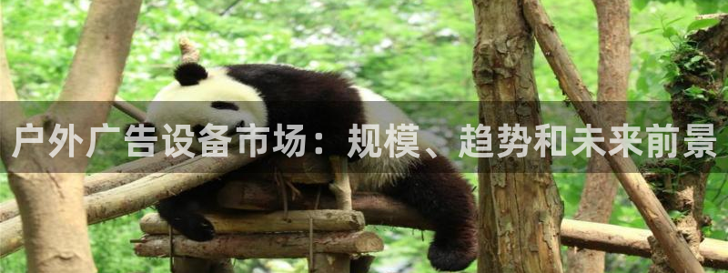 杏宇平台好吗