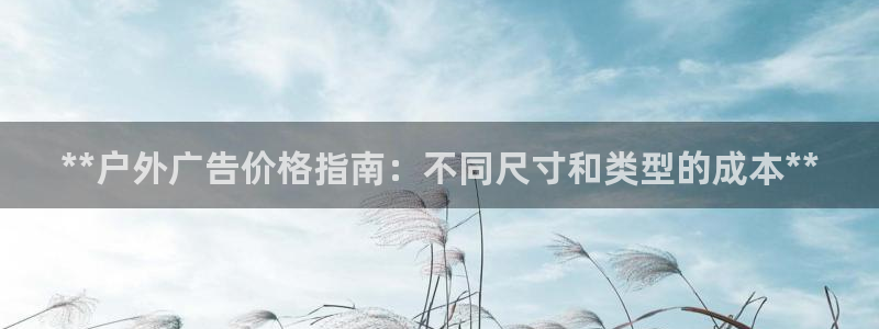 杏宇平台客服：**户外广告价格指南：不同尺寸和类型的成本**