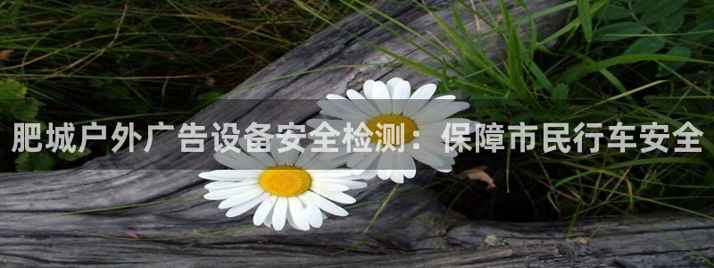 杏宇平台主管