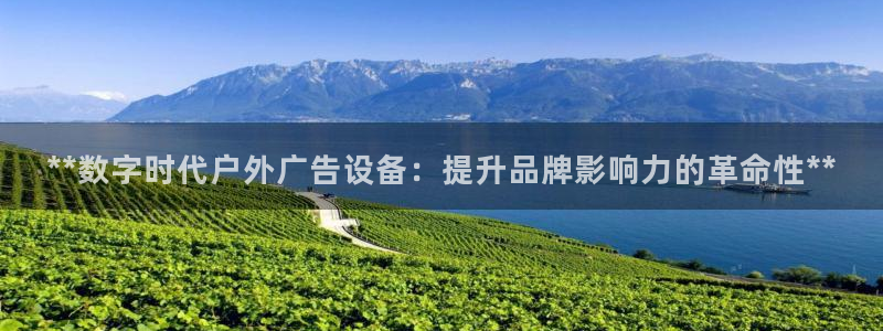 杏宇平台登录步骤：**数字时代户外广告设备：提升品牌影响力的革命性**