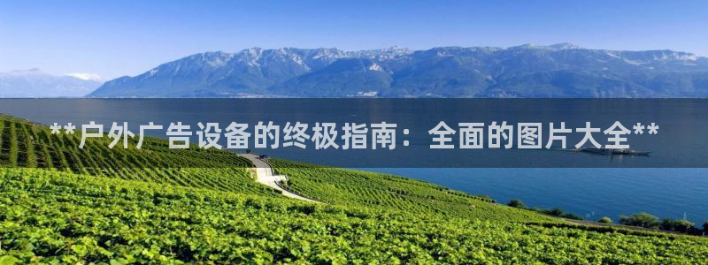 杏宇平台总代理电话