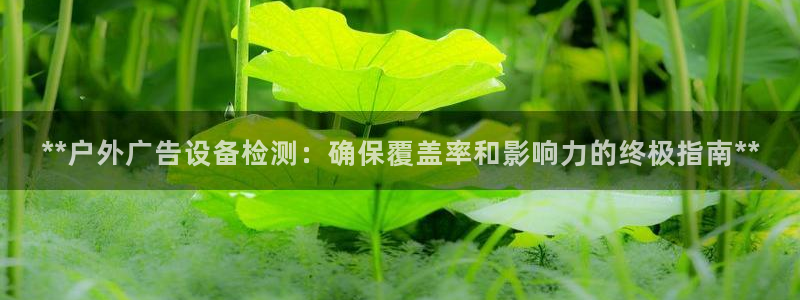 杏宇平台招商：**户外广告设备检测：确保覆盖率和影响力的终极指南**