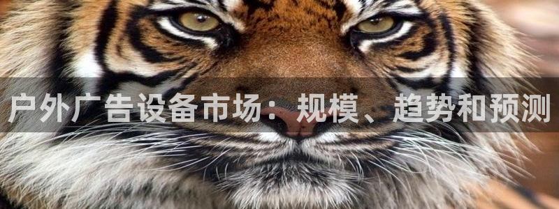 杏宇平台登录步骤：户外广告设备市场：规模、趋势和预测