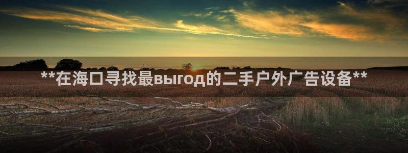 杏宇平台注册登录：**在海口寻找最выгод的二手户外广告设备**