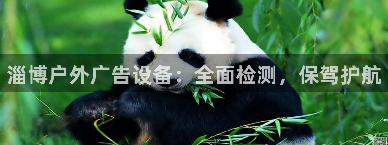 杏宇平台招商电话号码