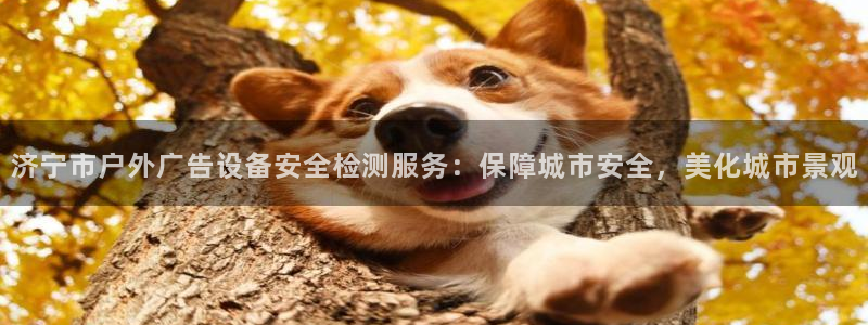 杏宇平台好吗：济宁市户外广告设备安全检测服务：保障城市安全，美化城市景观
