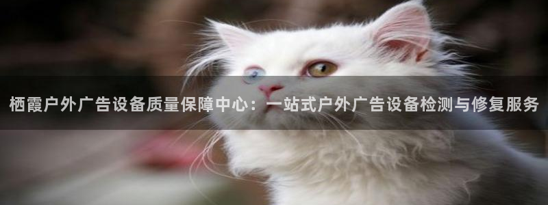 杏宇平台好吗：栖霞户外广告设备质量保障中心：一站式户外广告设备检测与修复服务
