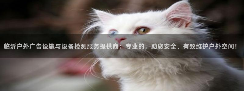 杏宇官方平台官网入口：临沂户外广告设施与