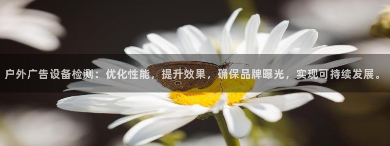 杏宇官方平台官网：户外广告设备检测：优化