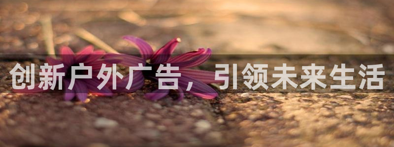 杏宇官方平台官网入口：创新户外广告，引领未来生活