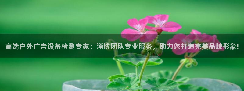 杏宇平台总代理